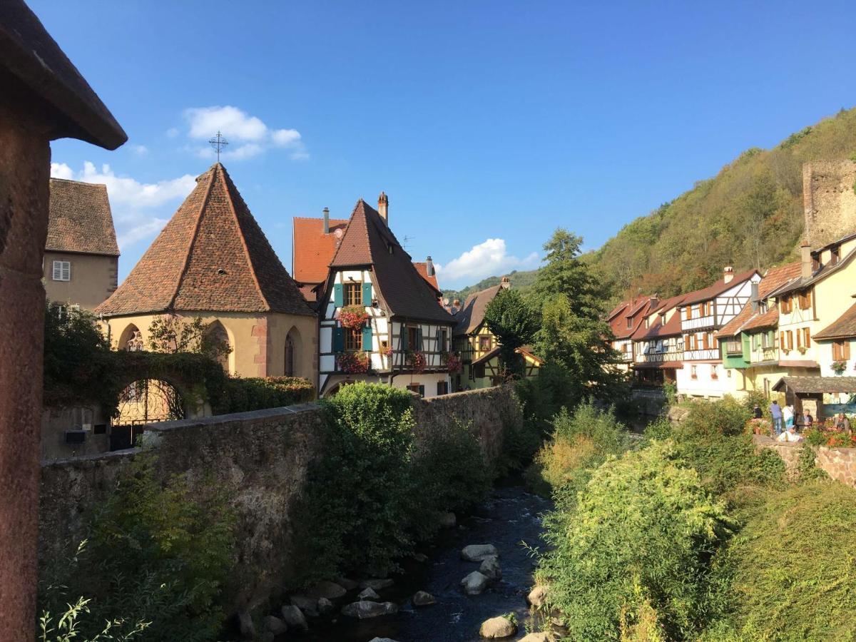 Magnifique Gite Le Clos Des Pierres Route Des Vins D'Alsace 贝布林黑姆 外观 照片