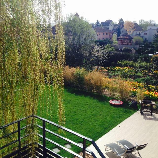 Magnifique Gite Le Clos Des Pierres Route Des Vins D'Alsace 贝布林黑姆 外观 照片